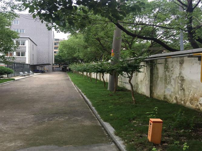 園林綠化工程承包 從專業(yè)實(shí)施到生態(tài)價(jià)值的全面解析